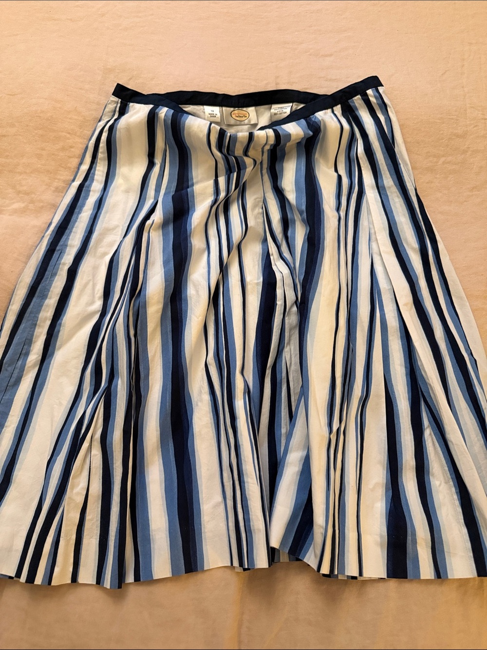 Talbots Blue and White Striped A-Line Skirt size 12